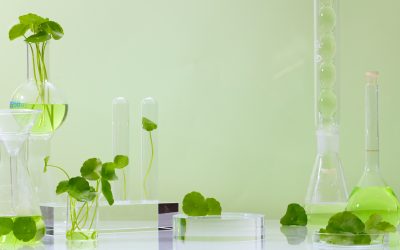 The Science Behind Levitas Bioregenerative Aesthetics