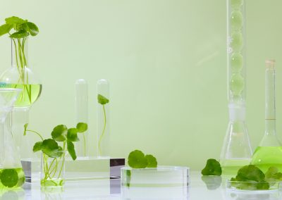 The Science Behind Levitas Bioregenerative Aesthetics