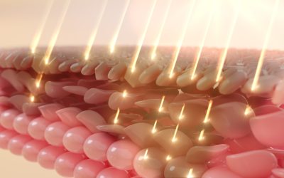 Exosomes and Regenerative Signalling – Cellular Communication Reimagined