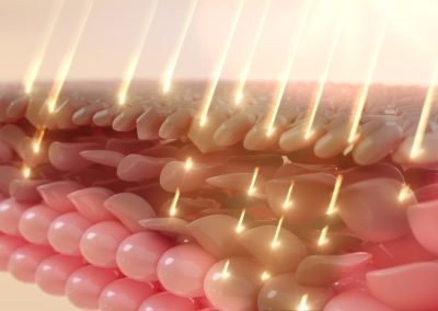Exosomes and Regenerative Signalling – Cellular Communication Reimagined